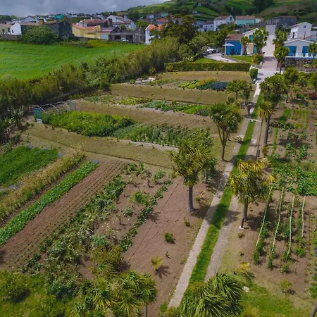 Idonea Bed & Breakfast