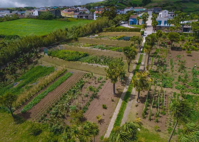 Idonea Bed & Breakfast